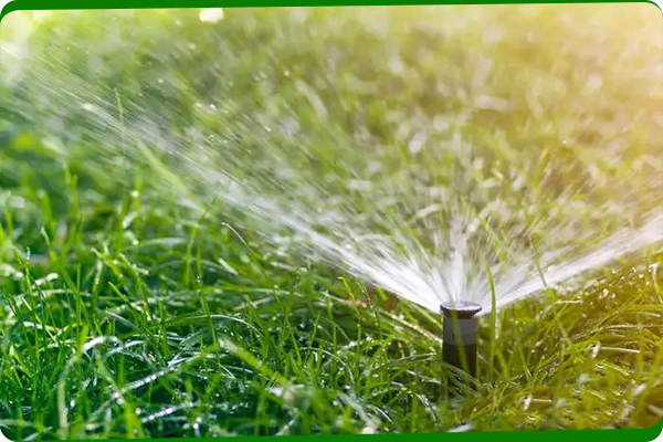 Karbon çeliği hassas döküm vanası