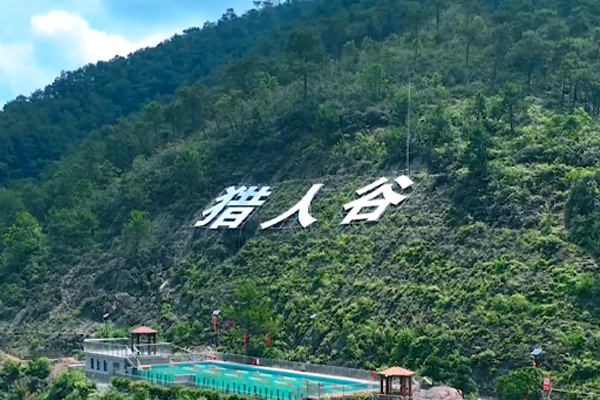 giriş valfi dökümü